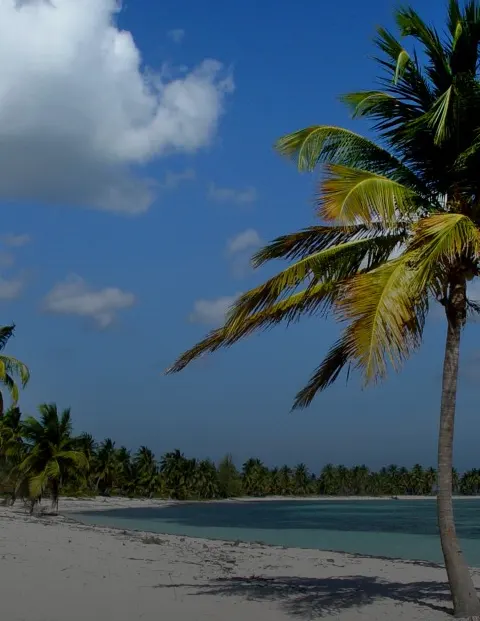 Der Strand von Bayahibe