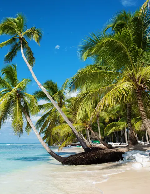 Die Strande der Insel Catalina